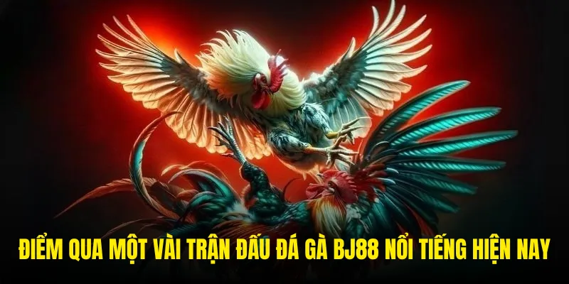 Những thể thức thi đấu cực hot của đá gà BJ88